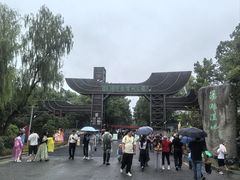 -溱湖国家湿地公园