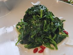 鸡油豆苗-福玺荟(外滩罗斯福店)