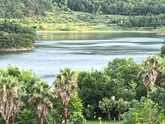 -宁波九龙湖开元度假村