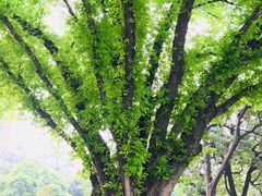 -广州中山纪念堂