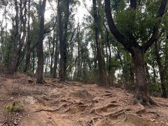 -喻家山