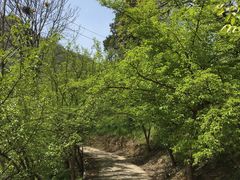 -龙峪湾国家森林公园