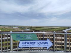 -盐城丹顶鹤湿地生态旅游区