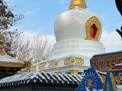 -护国法轮寺