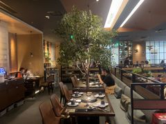 -同仁四季椰子鸡(海岸城天利店)