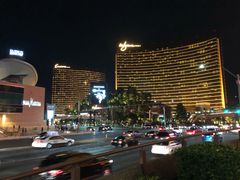 -拉斯维加斯永利酒店