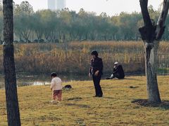 -滨湖塘西河公园