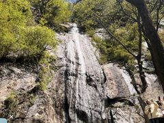 -王顺山国家森林公园