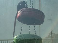 -无锡动物园·太湖欢乐园