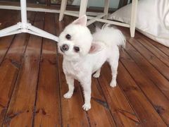 -天空花园餐吧·生日·团建(南山店)