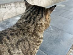 -正阳书局(西四南大街店)