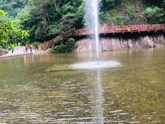 -龙湾潭国家森林公园