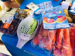 -浦江城市生活广场(江月路店)