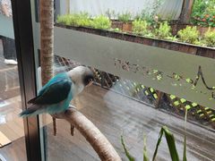 -莫多多餐厅