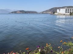 -大理洱海