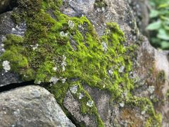 -陕西省红河谷森林公园