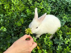 -伴山茶苑·围炉煮茶