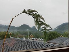 -宴武夷·匠心闽味(印象大红袍店)