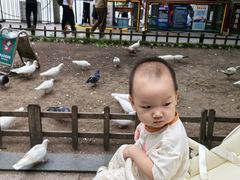 -杭州西湖仁和饭店(湖滨银泰in77店)