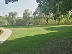 -同里国家湿地公园