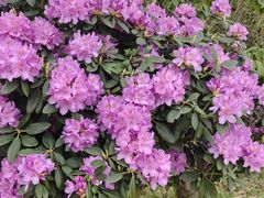 -名花谷生态庄园