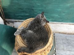 -小时光咖啡馆(北锣鼓巷店)