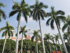 -厦门大学(思明校区)