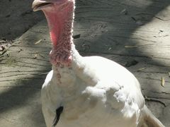 -昆山城市生态森林公园