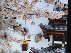 -蜜桃餐厅·伴山(绿宝广场店)