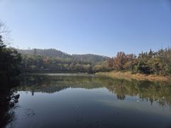 -青龙山国家森林公园
