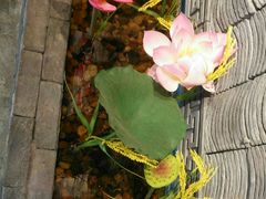 -成都龍井門火锅(王家湾店)