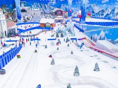 -湘江欢乐城欢乐雪域
