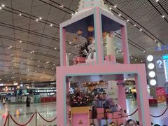 -首都机场t3-c国航两舱休息室