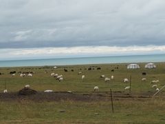 -青海湖国家重点风景名胜区