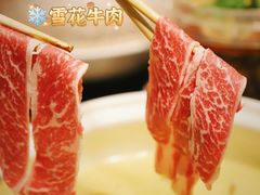 -金龙·打边炉(南京西路店)