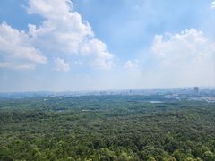 -紫金山山顶公园