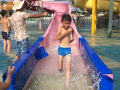 -巨鹏飞梦幻水世界