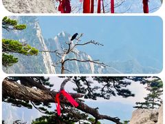 -华山风景名胜区