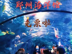 -郑州海洋馆