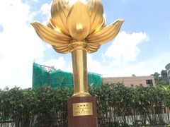 -金莲花广场