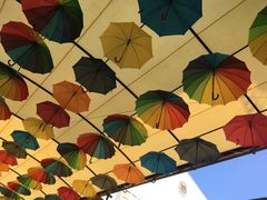 -费特希耶滑翔伞