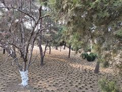 -元大都城垣遗址公园