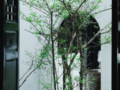 -白鹿洞书院