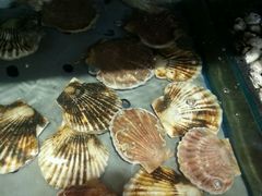 -天天渔港(杏林街店)