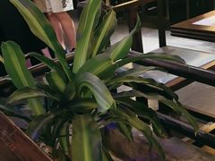 -绿茶餐厅(哈尔滨凯德店)