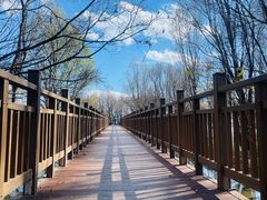 -洱海月湿地公园