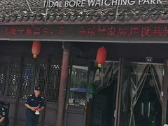 -观潮胜地公园