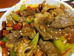 -付小姐在成都(中山公园店)