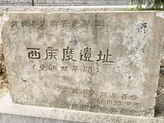 -西侯度遗址