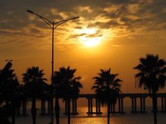 -宝安西湾红树林湿地公园